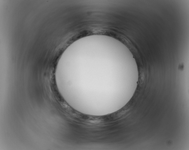 X0000113930667200909250917