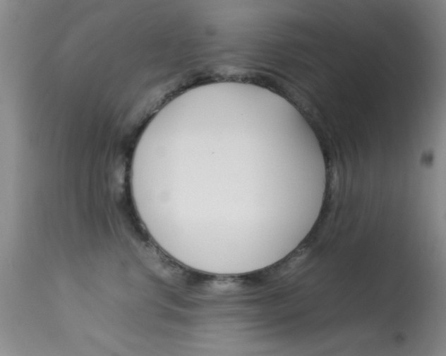 X0000113930668200909250917