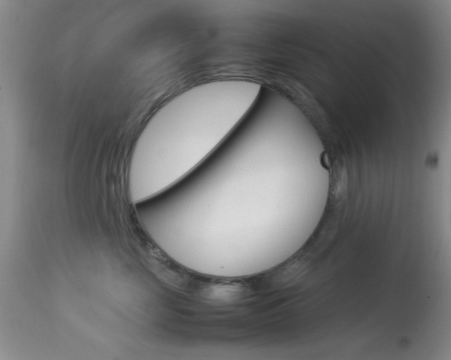X0000113930669200909250917