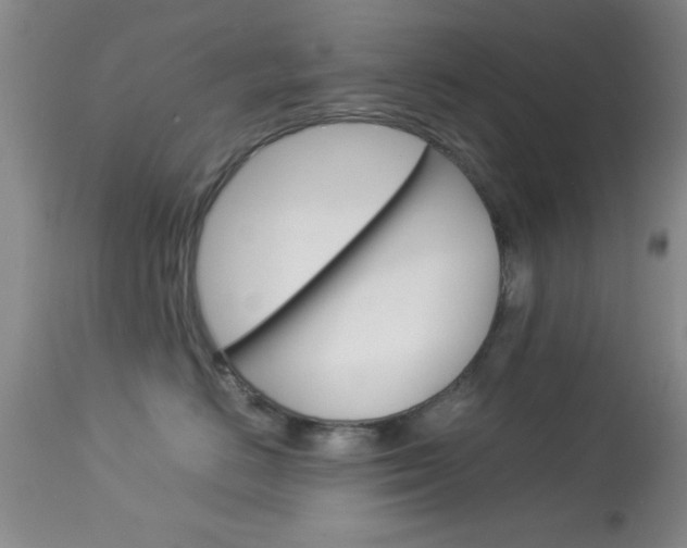 X0000113930670200909250917