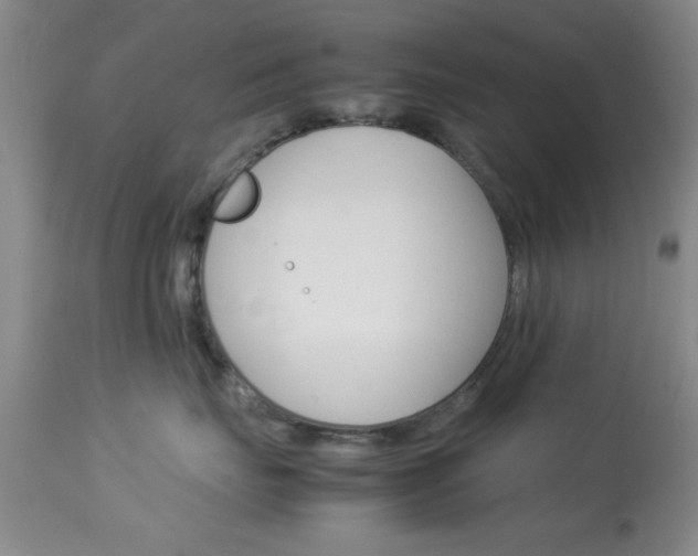 X0000113930671200909250917