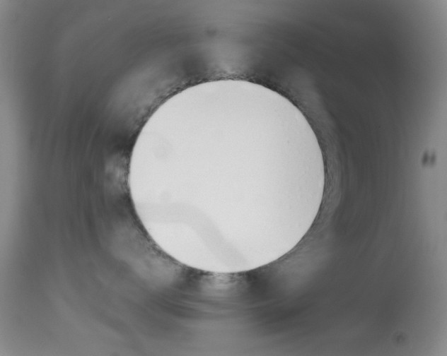 X0000113930672200909250917