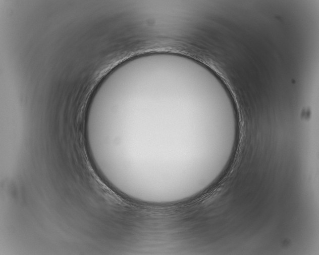 X0000113930673200909250917