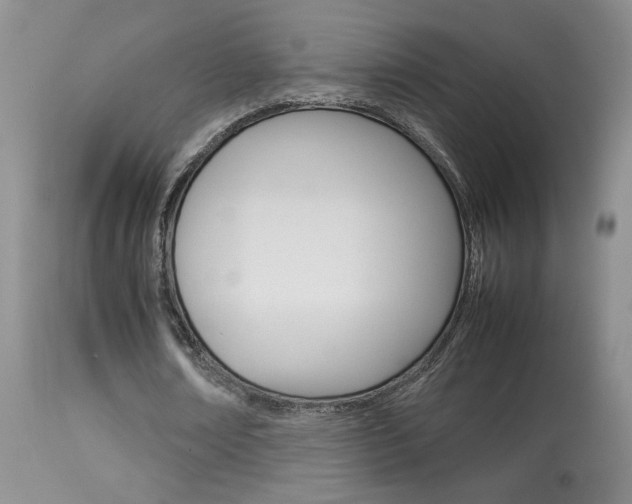 X0000113930674200909250917