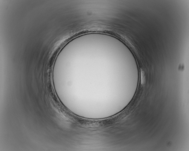 X0000113930675200909250917