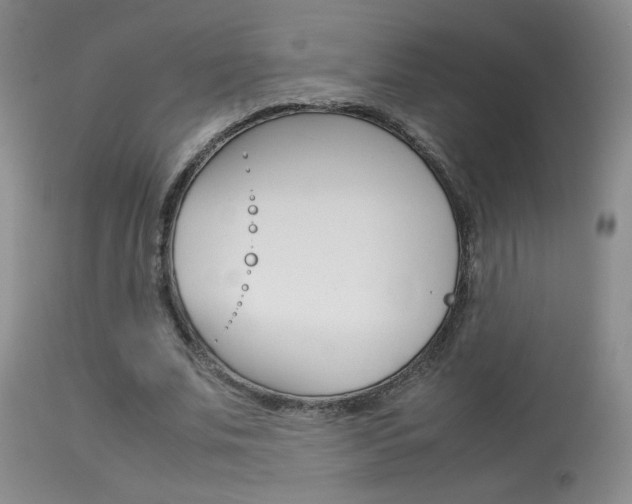 X0000113930679200909250917