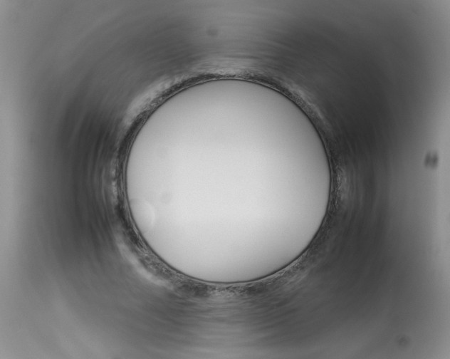 X0000113930682200909250917