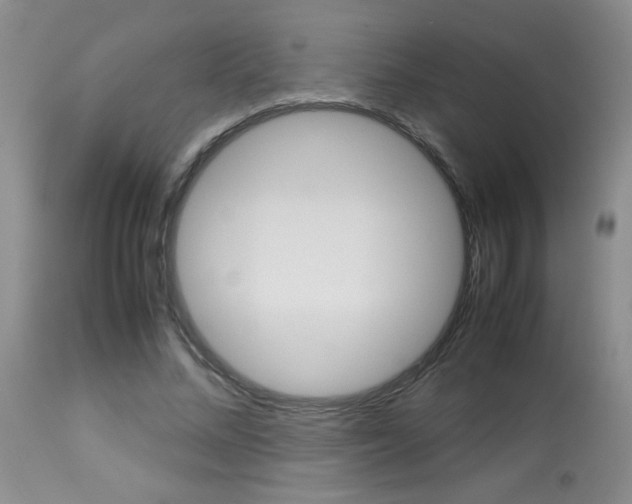 X0000113930684200909250916