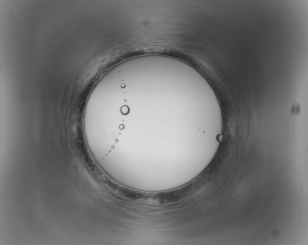 X0000113930687200909250916