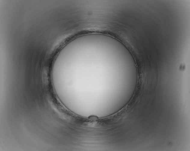 X0000113930688200909250916