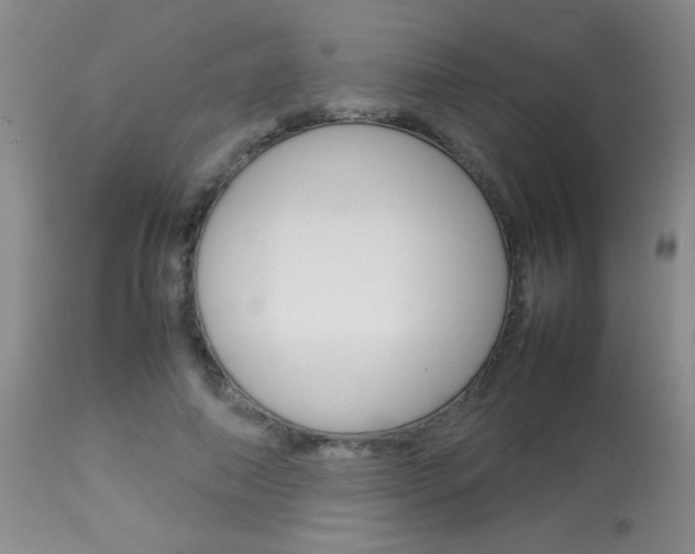 X0000113930690200909250916