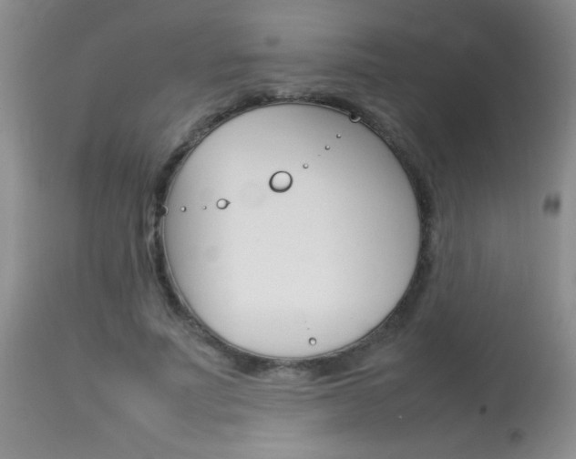 X0000113930691200909250916