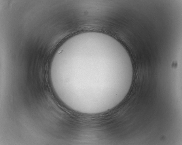 X0000113930692200909250916
