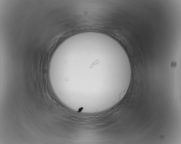 X0000113930693200909250916