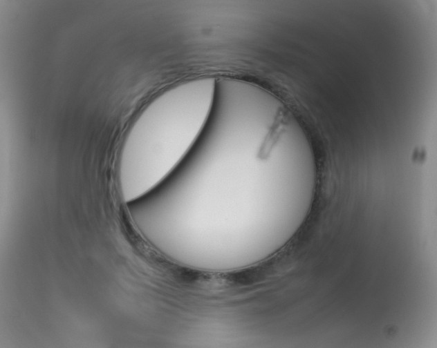 X0000113930695200909250916