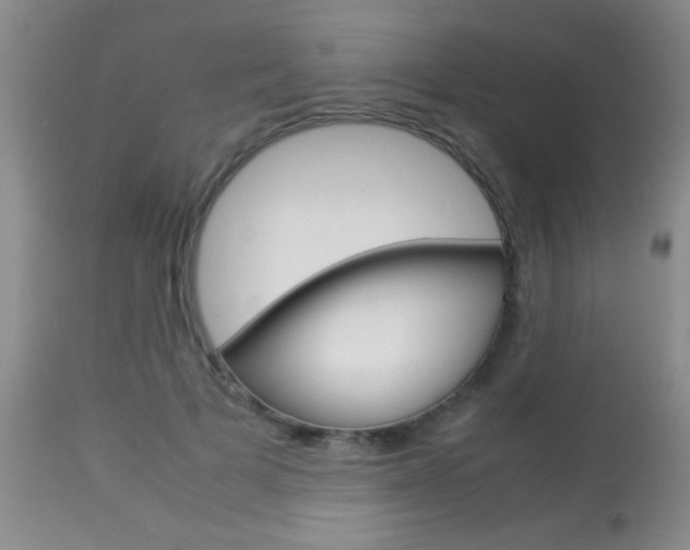 X0000113930697200909250916