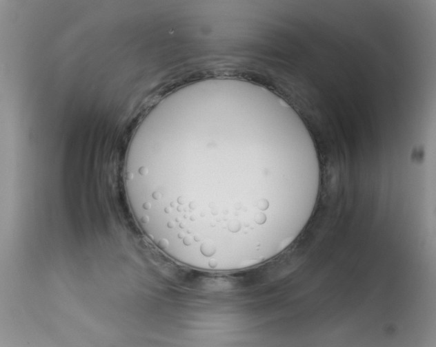 X0000113930698200909250916