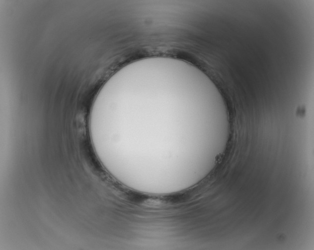 X0000113930699200909250916