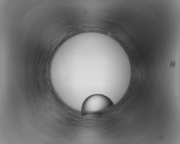 X0000113930700200909250916