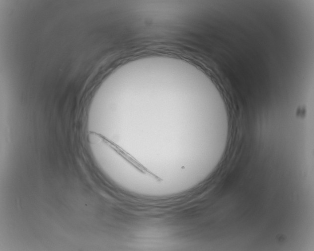 X0000113930701200909250916
