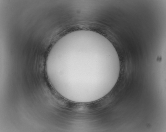 X0000113930702200909250916