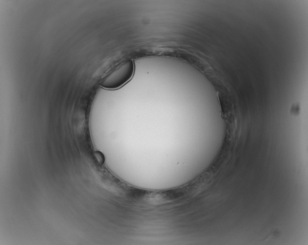 X0000113930704200909250916