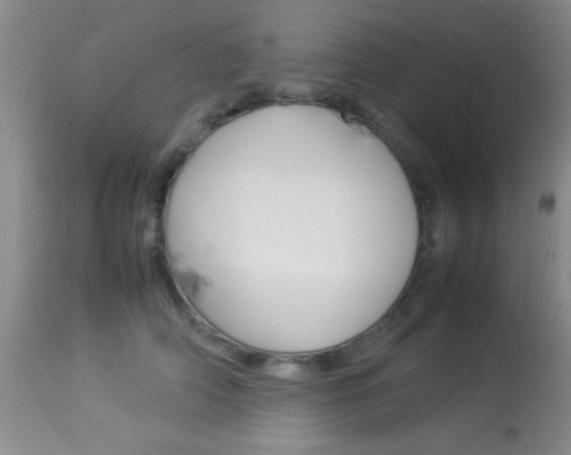X0000113930706200909250916