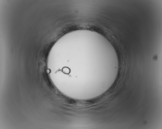 X0000113930707200909250916