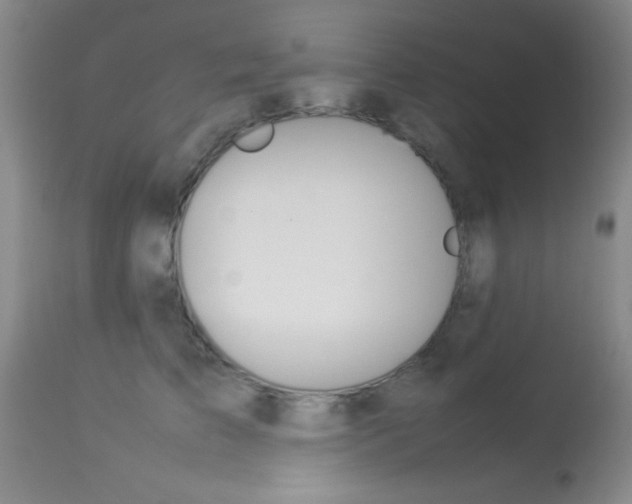 X0000113930709200909250916