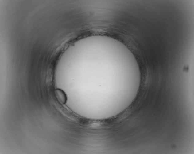 X0000113930710200909250916