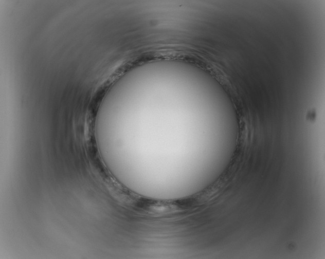 X0000113930712200909250916