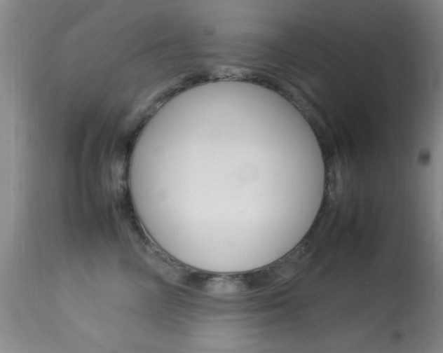 X0000113930714200909250916