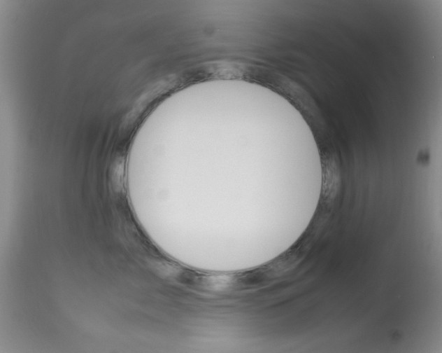 X0000113930717200909250916