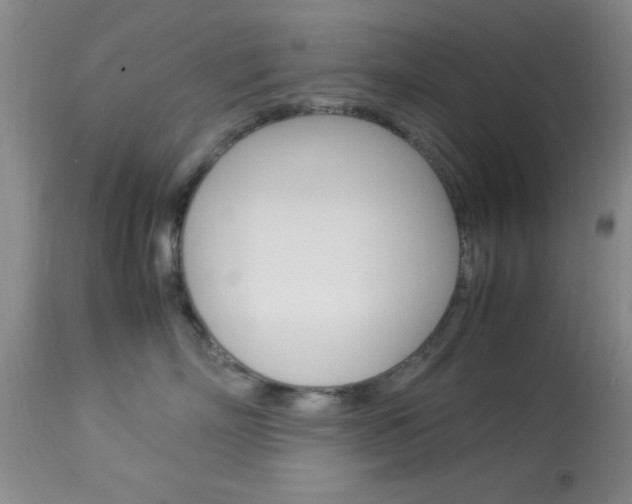 X0000113930718200909250916