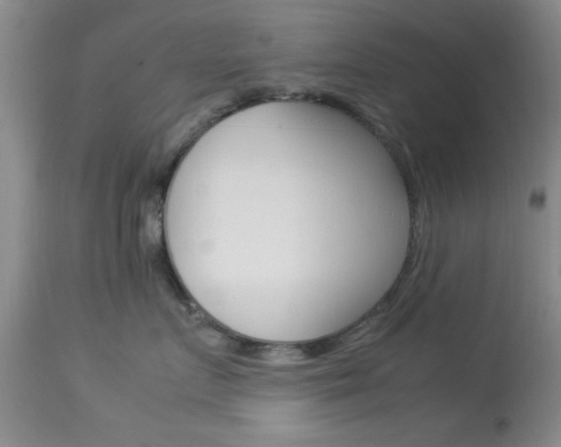 X0000113930719200909250916