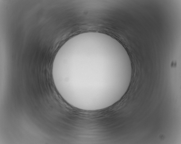 X0000113930720200909250916