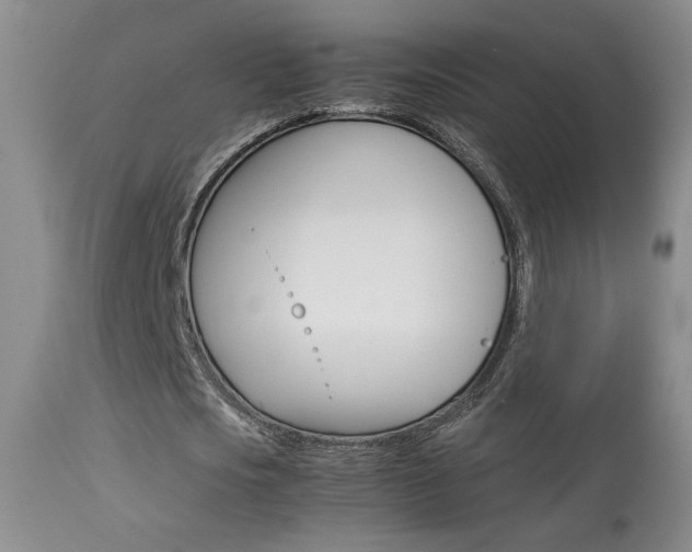 X0000113930721200909250915