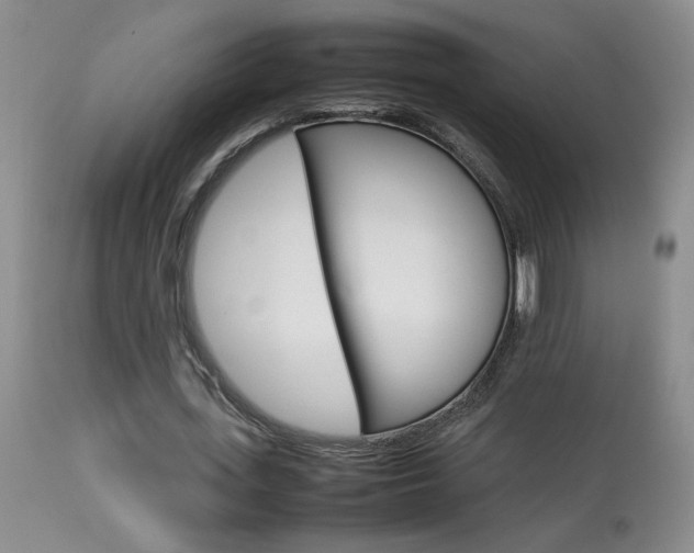 X0000113930723200909250915