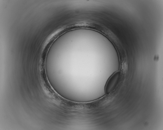 X0000113930724200909250915