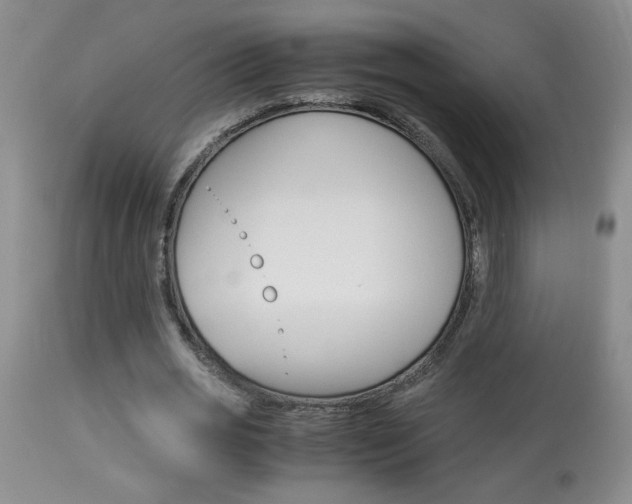 X0000113930725200909250915