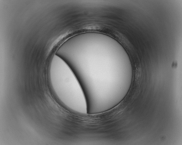 X0000113930727200909250915