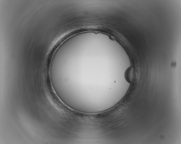 X0000113930728200909250915