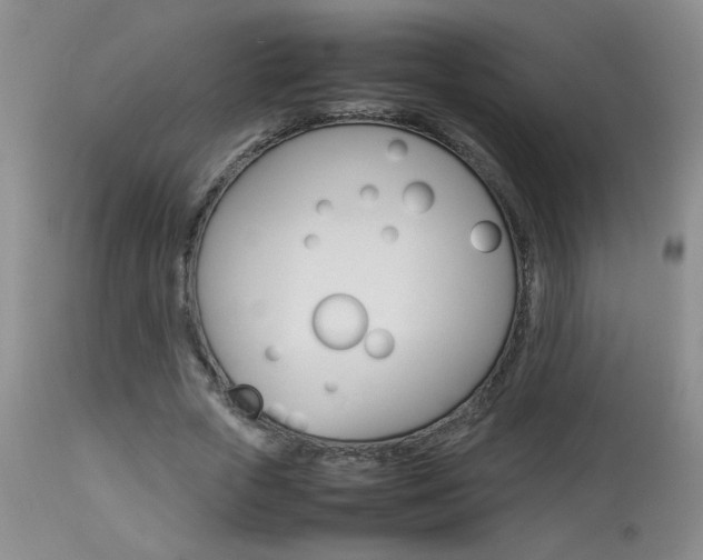 X0000113930729200909250915