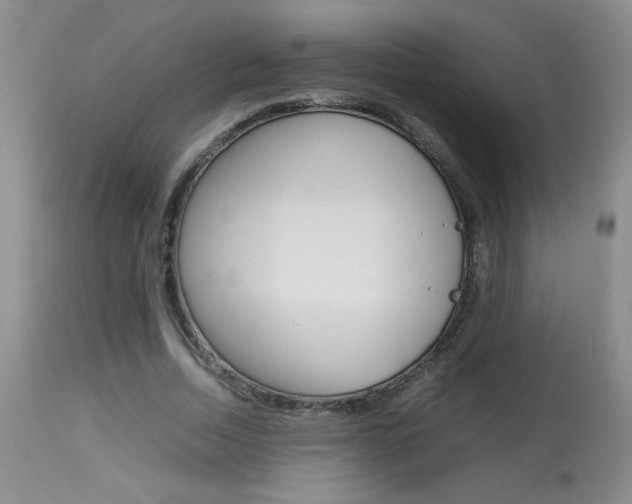 X0000113930730200909250915