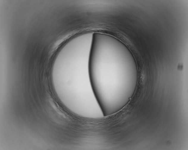 X0000113930732200909250915