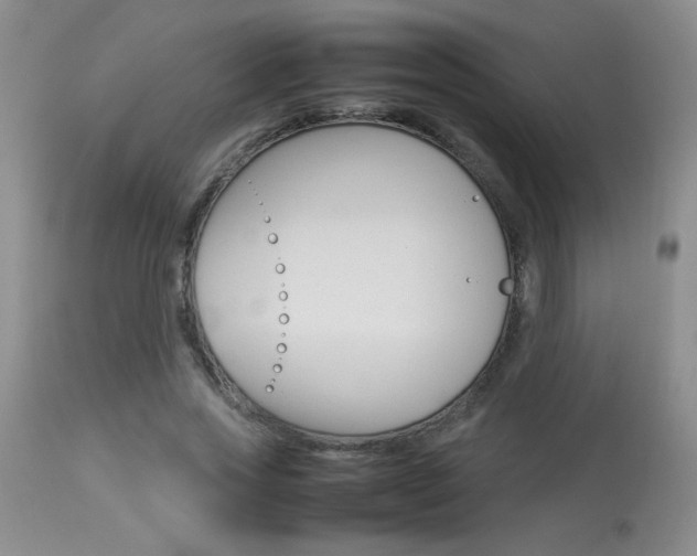 X0000113930733200909250915