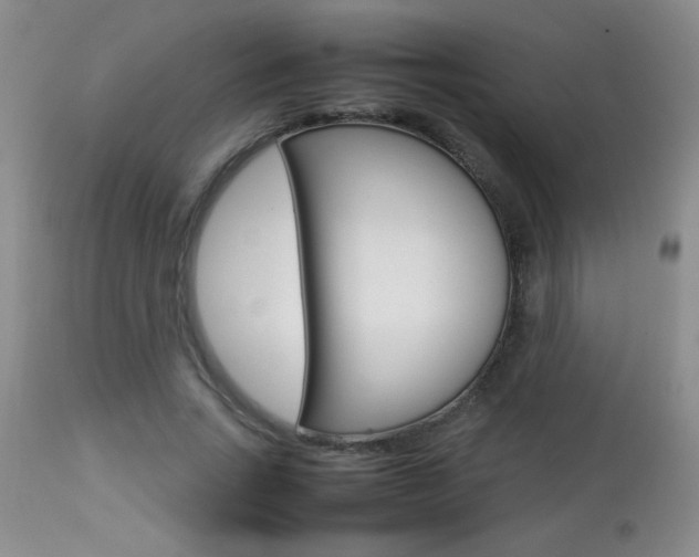 X0000113930735200909250915