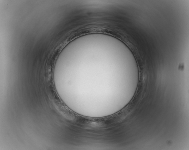 X0000113930737200909250915