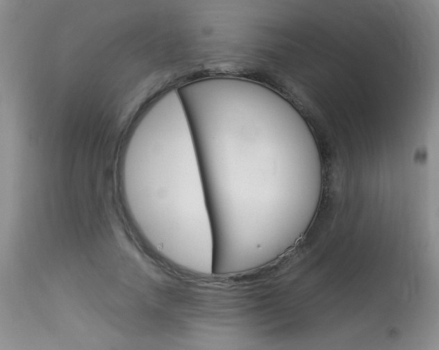 X0000113930738200909250915