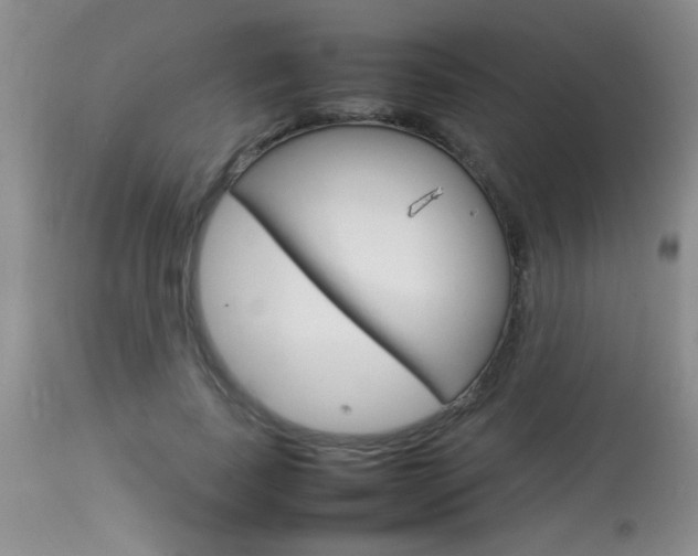 X0000113930739200909250915